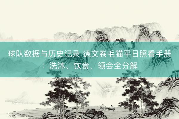 球队数据与历史记录 德文卷毛猫平日照看手册：洗沐、饮食、领会全分解