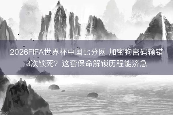 2026FIFA世界杯中国比分网 加密狗密码输错3次锁死？这套保命解锁历程能济急