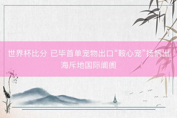 世界杯比分 已毕首单宠物出口“鞍心宠”扬帆出海斥地国际阛阓