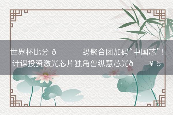 世界杯比分 📈 蚂聚合团加码“中国芯”！计谋投资激光芯片独角兽纵慧芯光🔥 5