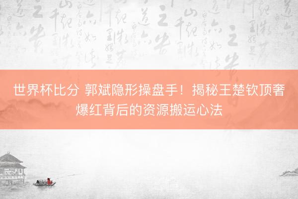 世界杯比分 郭斌隐形操盘手！揭秘王楚钦顶奢爆红背后的资源搬运心法