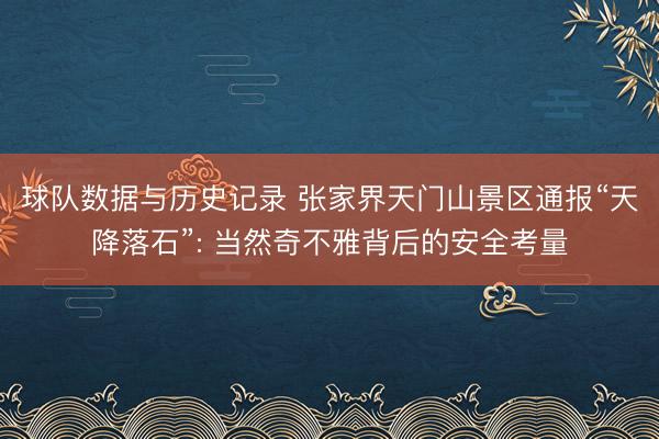 球队数据与历史记录 张家界天门山景区通报“天降落石”: 当然奇不雅背后的安全考量