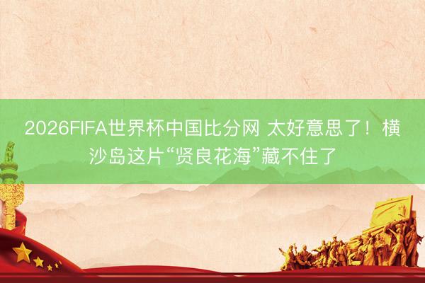 2026FIFA世界杯中国比分网 太好意思了！横沙岛这片“贤良花海”藏不住了