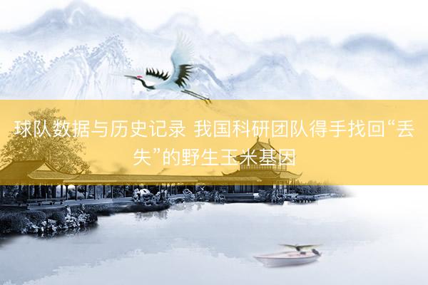 球队数据与历史记录 我国科研团队得手找回“丢失”的野生玉米基因