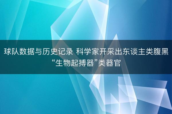 球队数据与历史记录 科学家开采出东谈主类腹黑“生物起搏器”类器官